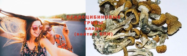 ГАЛЛЮЦИНОГЕННЫЕ ГРИБЫ Алексеевка