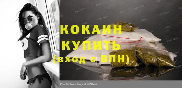 соль ск Алексин