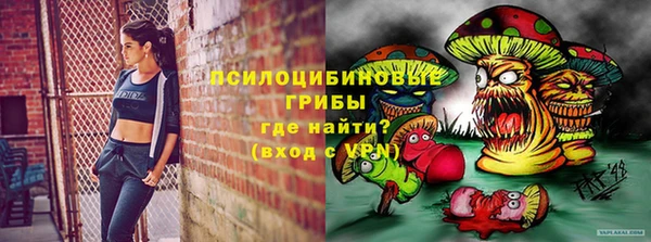ГАЛЛЮЦИНОГЕННЫЕ ГРИБЫ Алексеевка