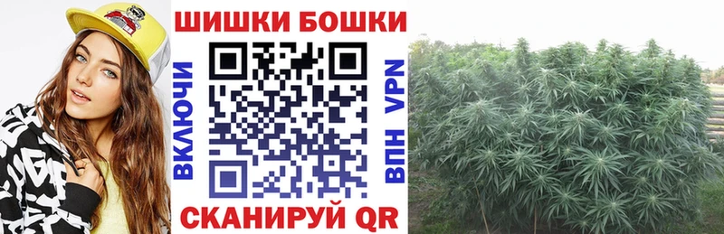Бошки Шишки ГИДРОПОН Сосновка